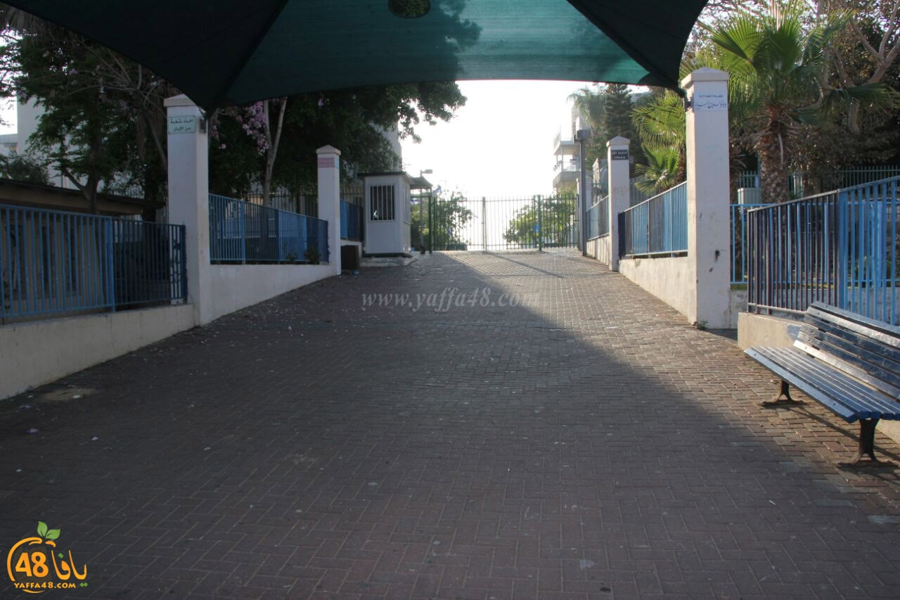 idrab shamela (11).jpg